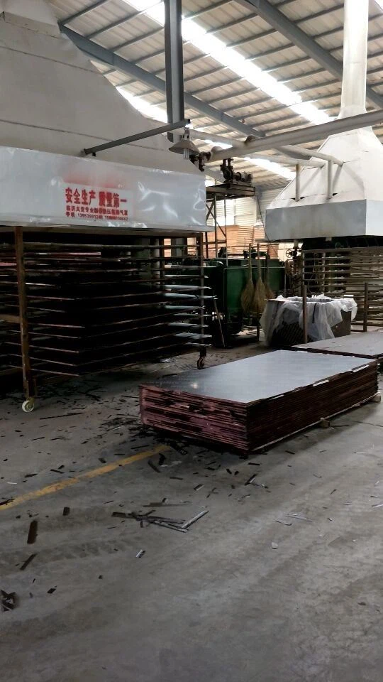 18mm Film Faced Plywood Supplier