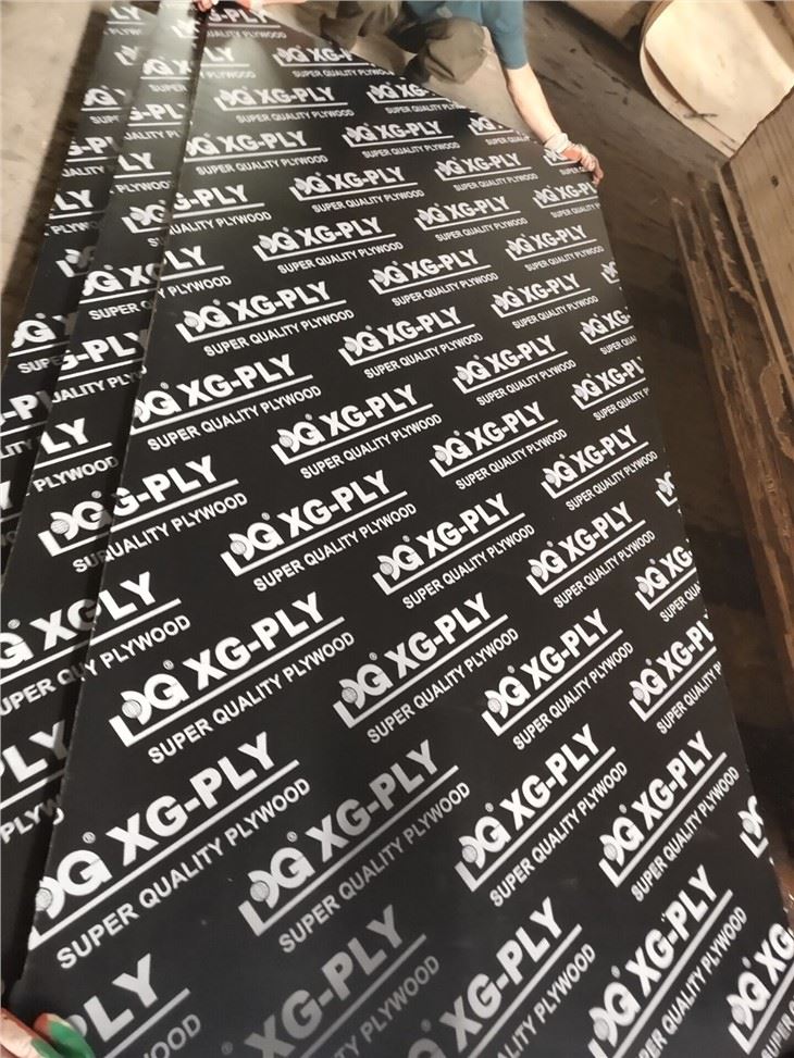 Marine Plywood Supplier-Xingang Group