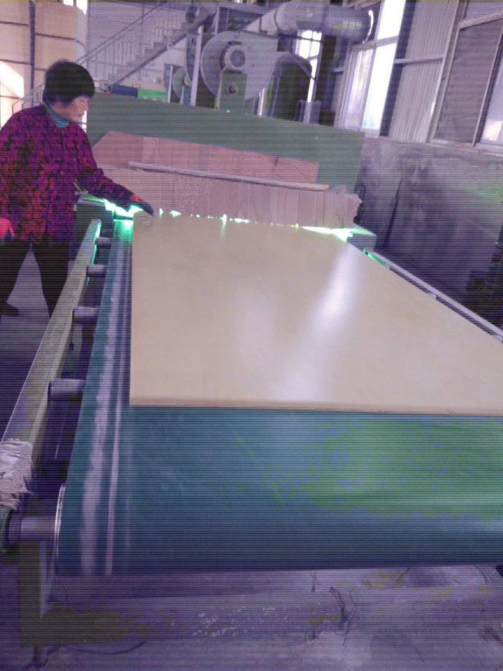 Birch Okoume Plywood For Furniture Cabinet