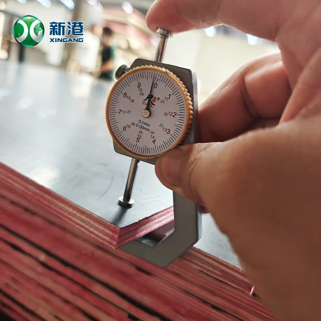 Film Faced Plywood 20250211